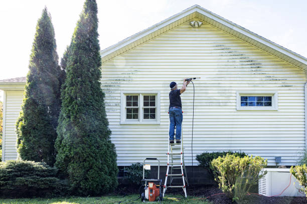 Best Solar Panel Cleaning  in Verona, VA